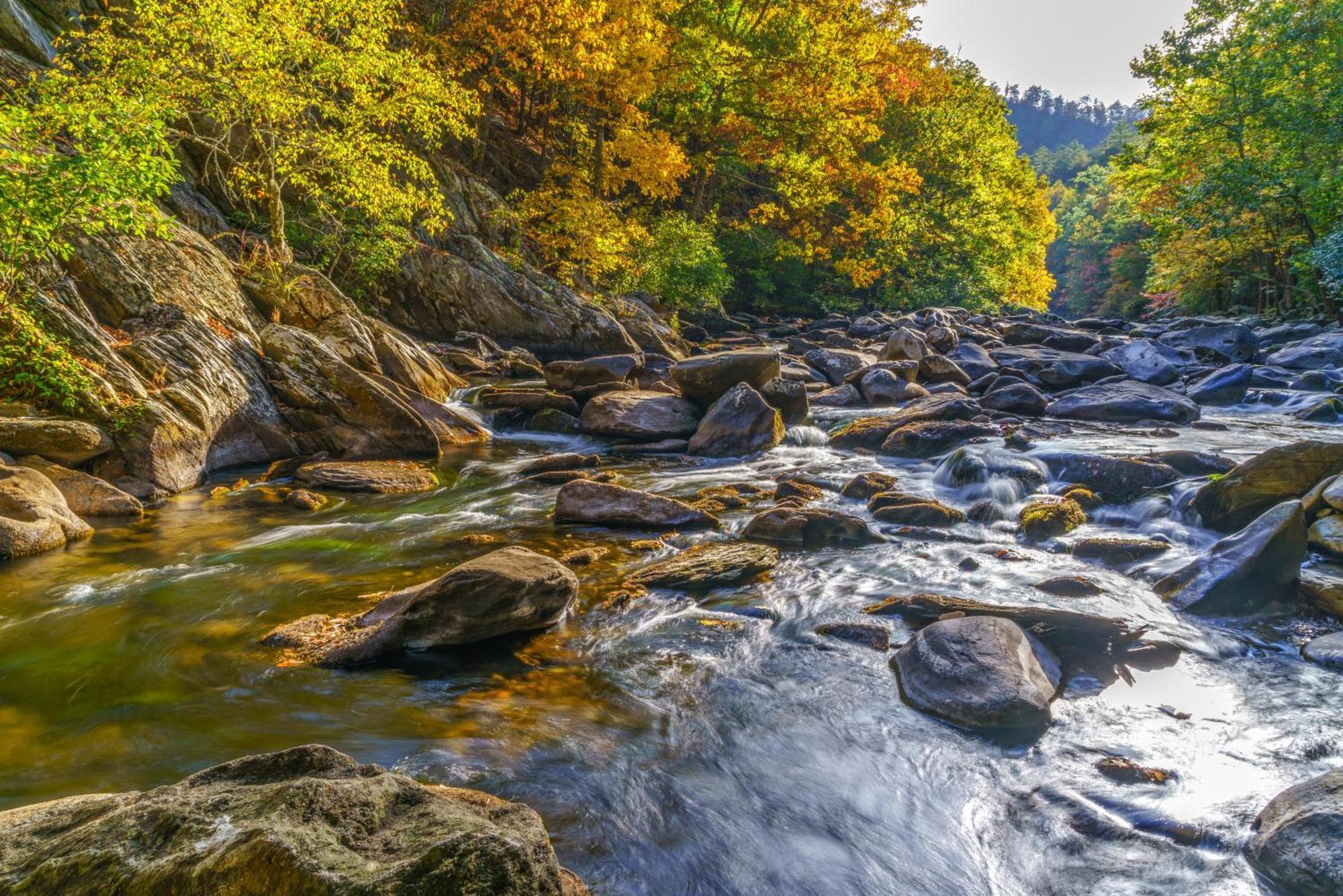 Rocky Top Lookout Гатлінбург Номер фото